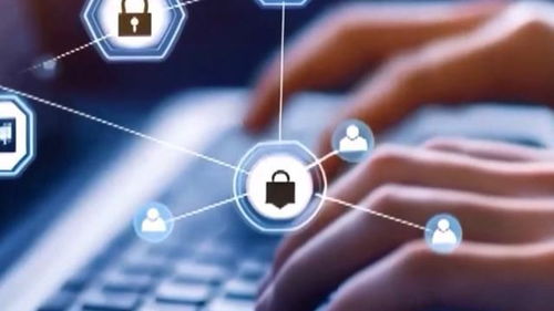 AI养龙虾走红背后的隐忧 警惕信息泄露与网络安全风险